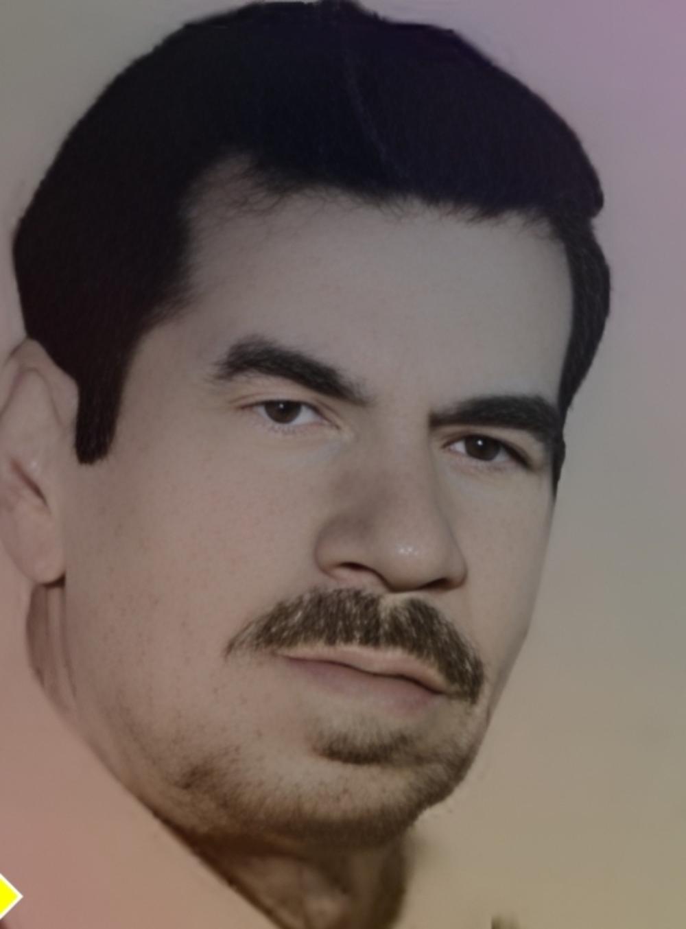 محمد مرادزاده