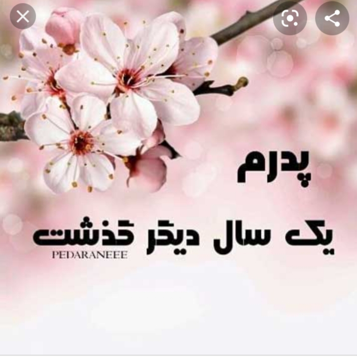 مهدی بهزادی.