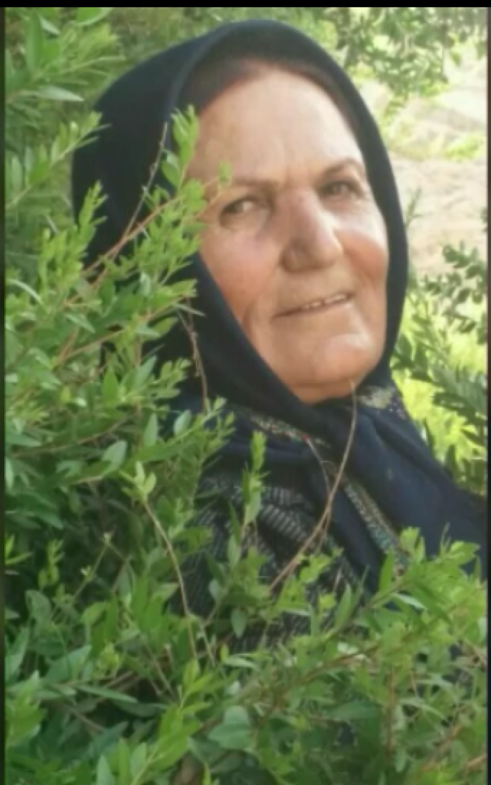 شادی روح تمام در گذشتگان و مادر مهربانم سیده تاج خانم حسینی