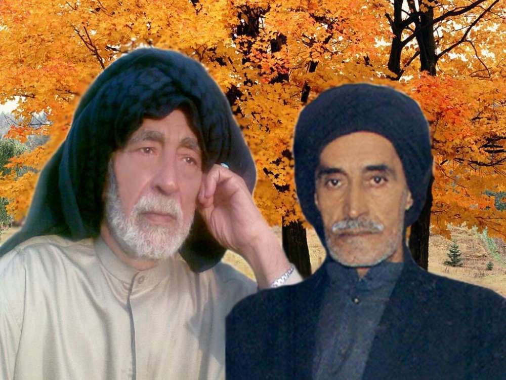 سید هاشم و سید مهدی سادات آل جابر