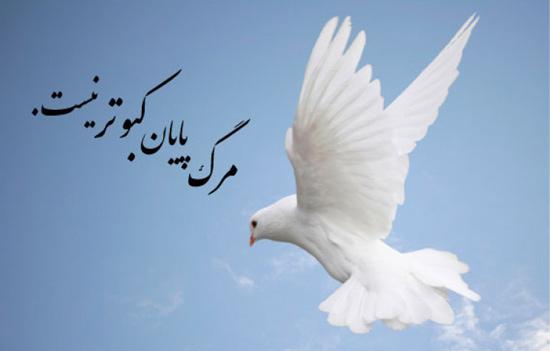 زنده یاد سید محمدرضا آذری