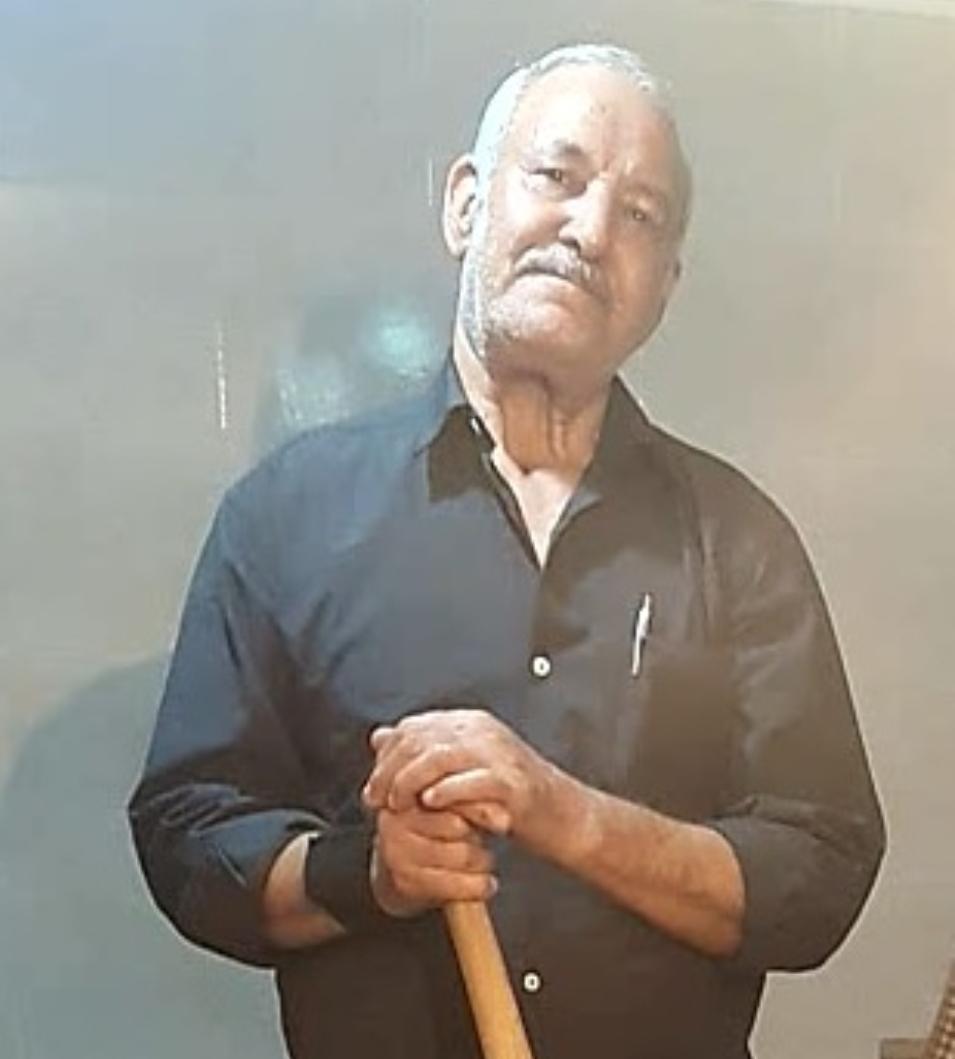 محمدولی محمد نظامی