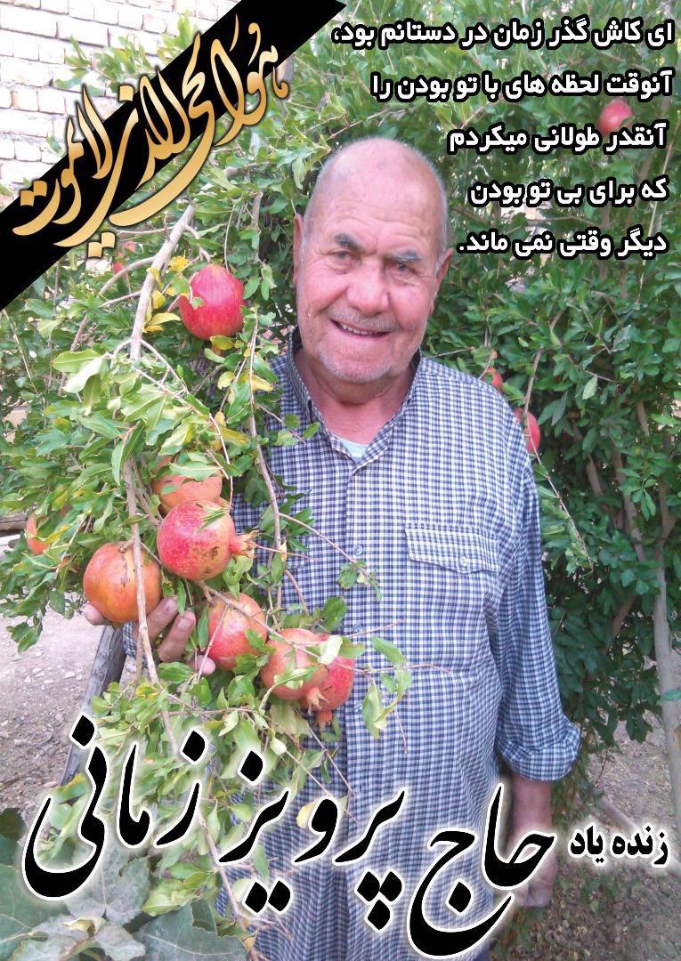 پرویز زمانی