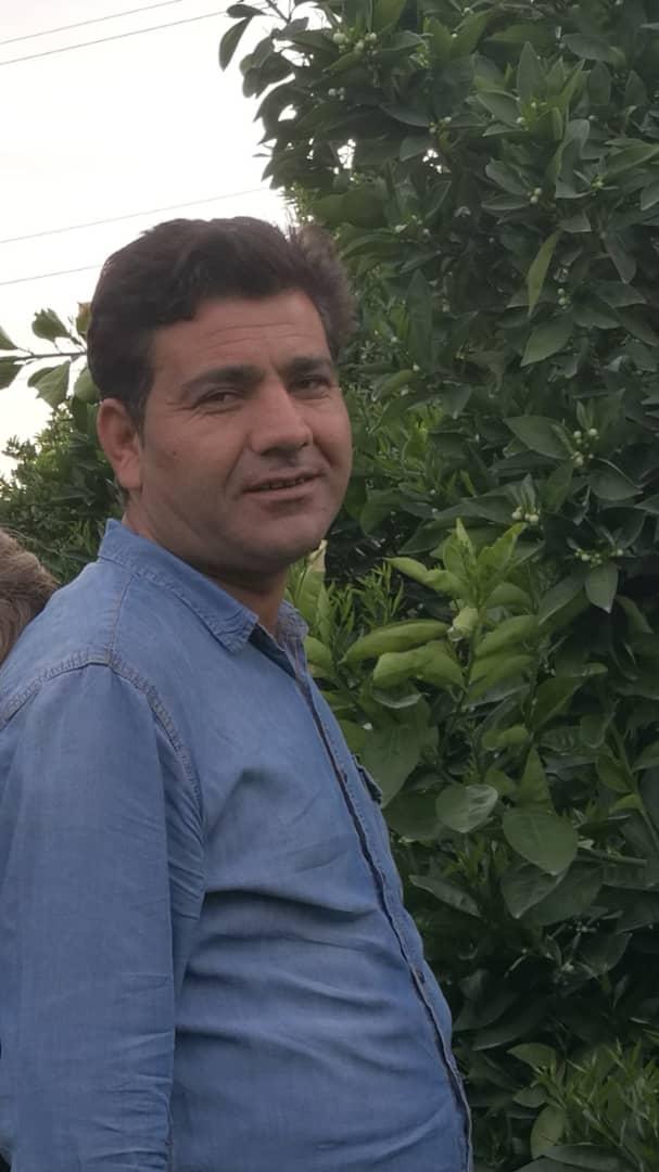شاهرخ احمدی