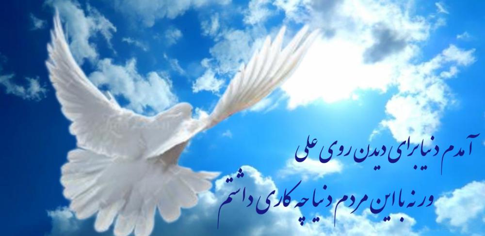 طیبه سادات قدسی پور
