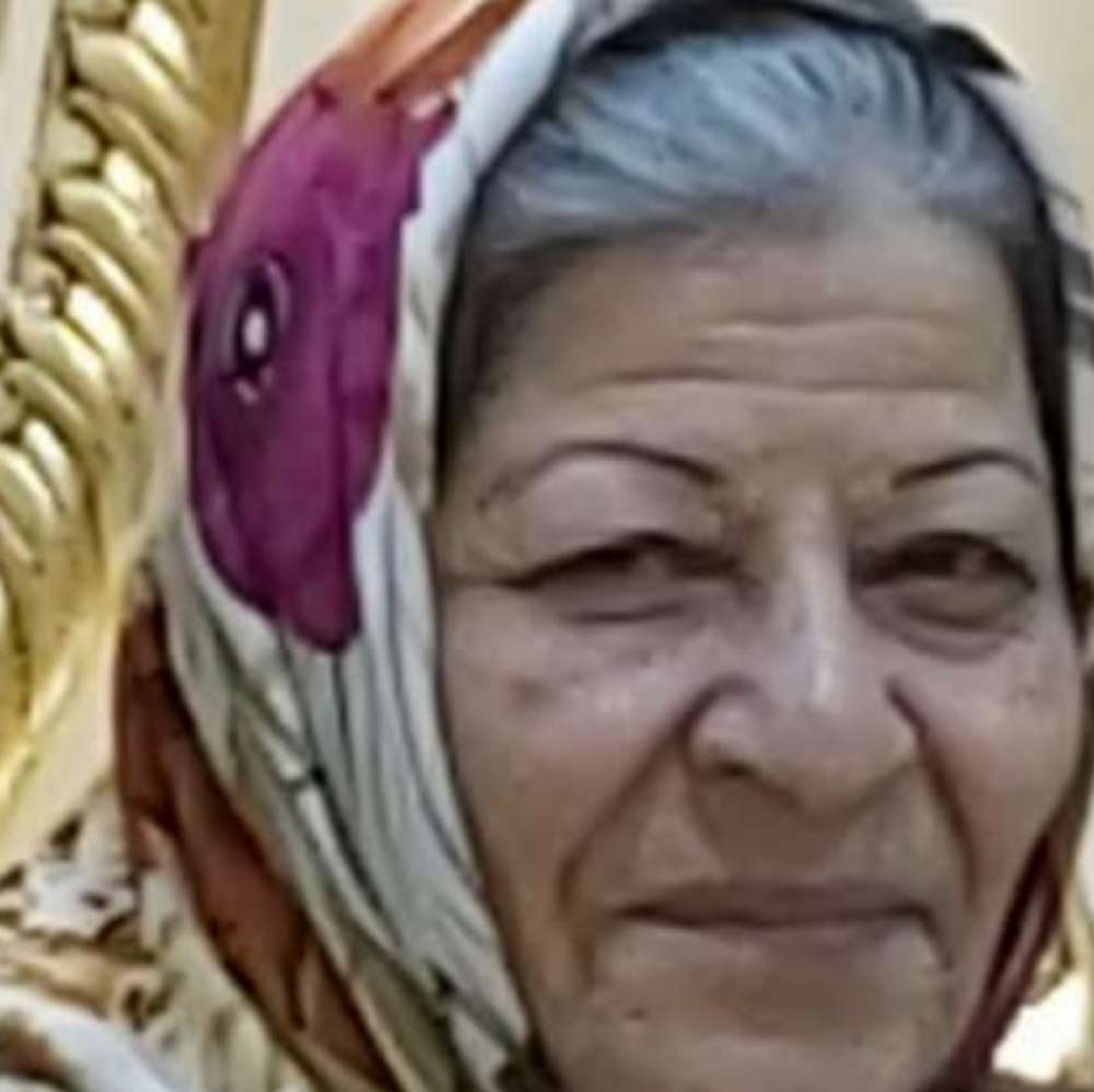 شمسی پاکیزه جمع