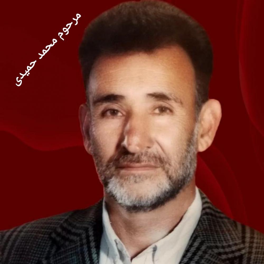 محمد حمیدی