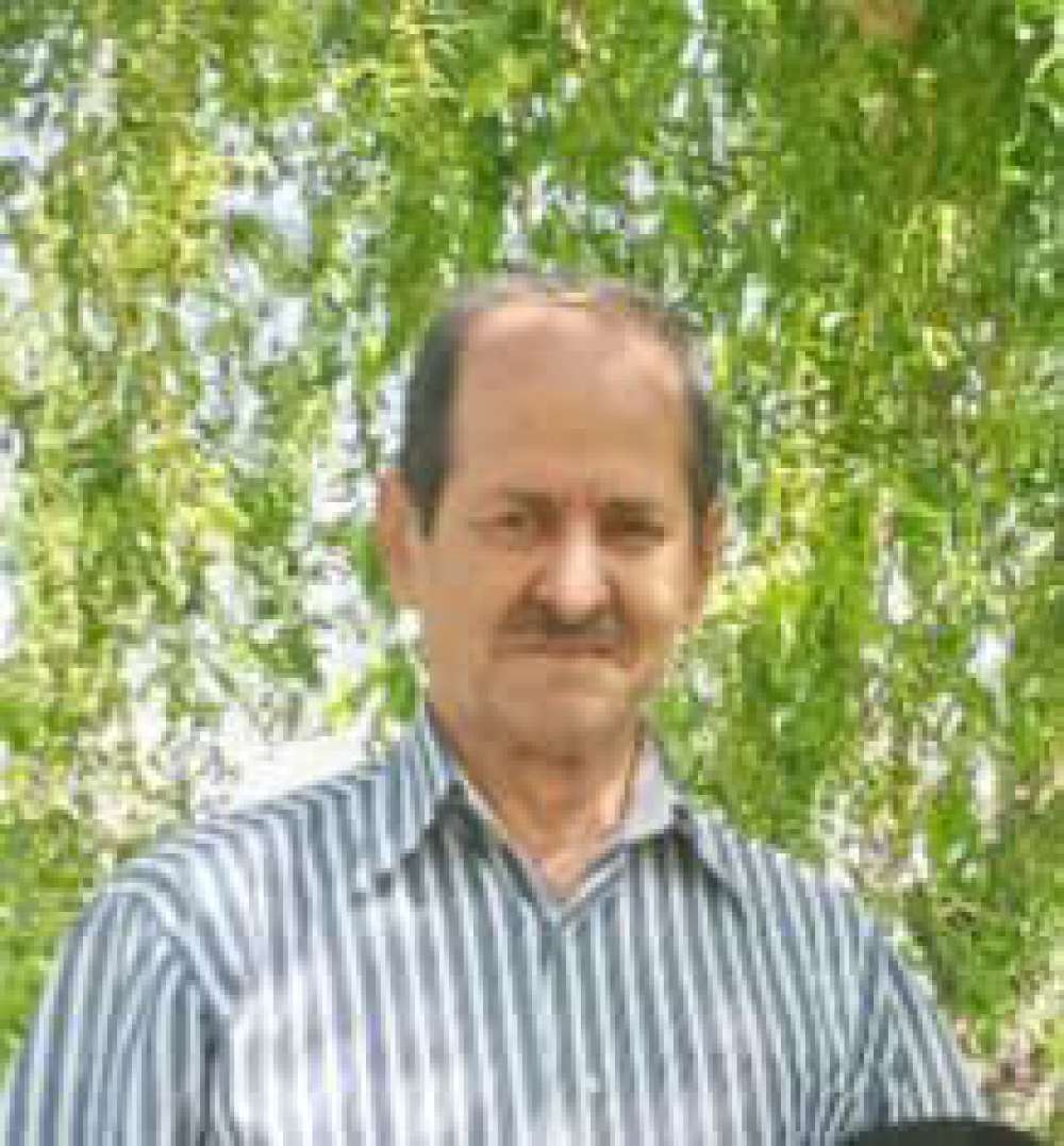 سعید بیگدلی