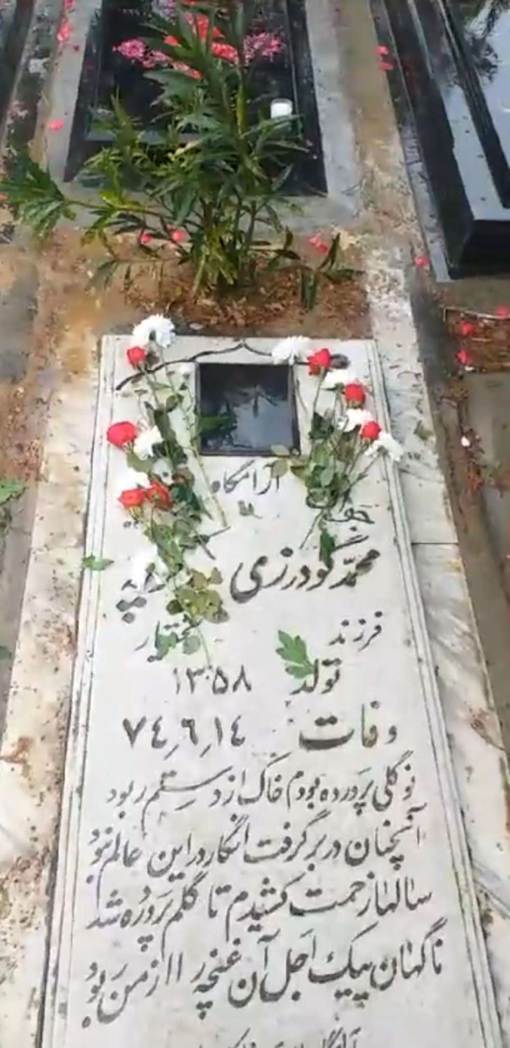 محمد گودرزی