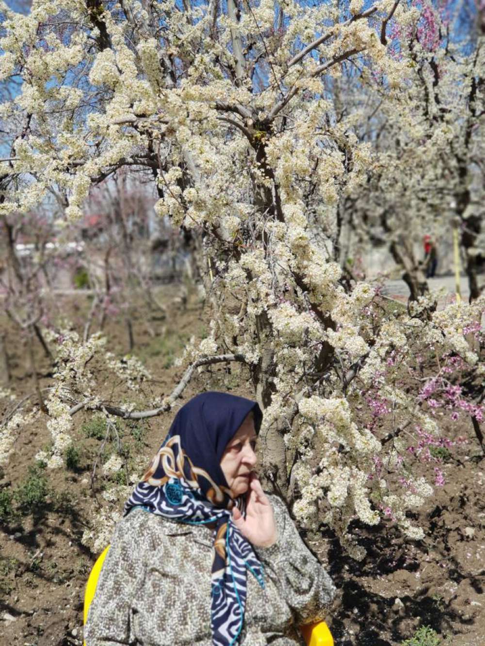 سرورالزمان شیروانی