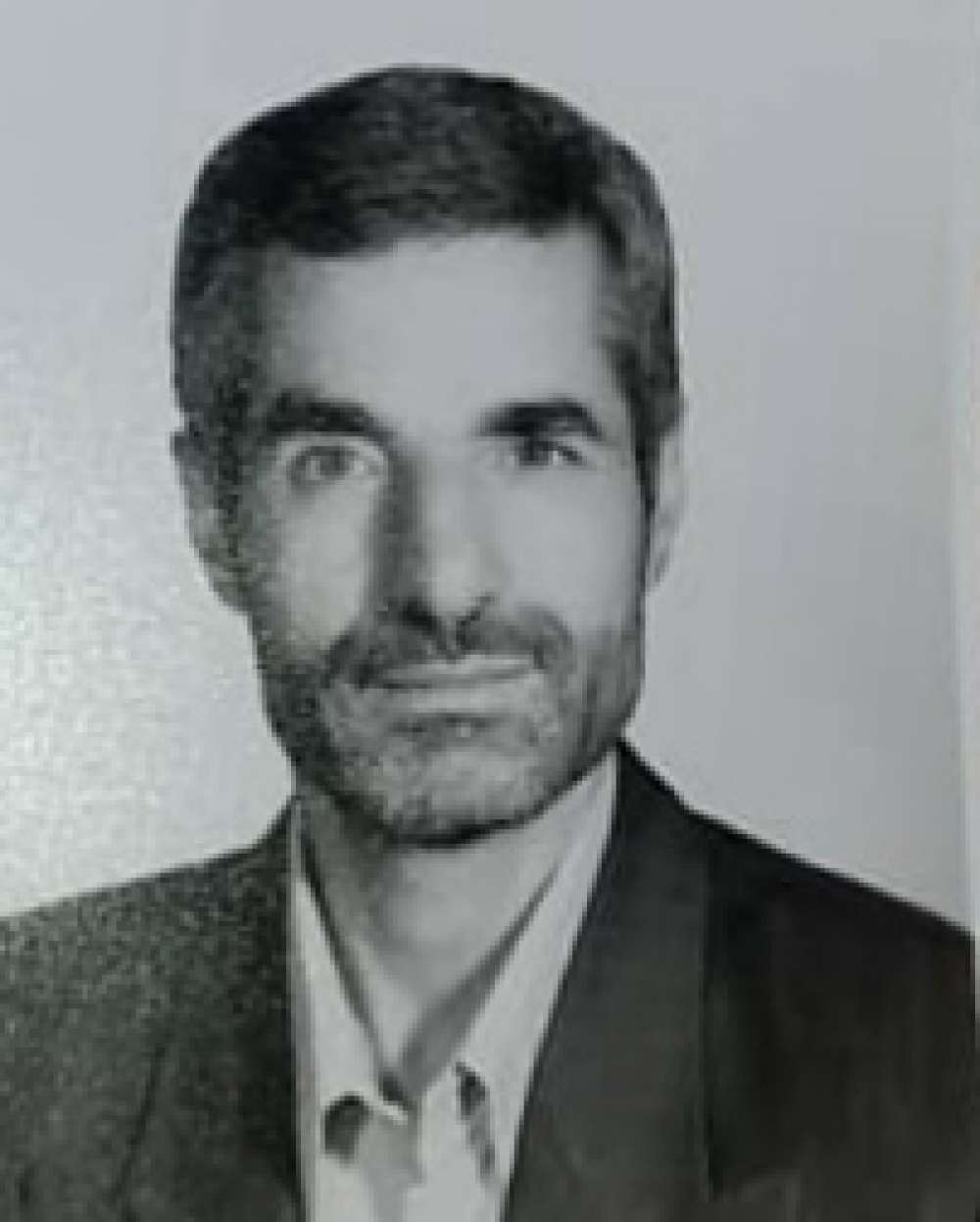 محمد تقی ربیعی