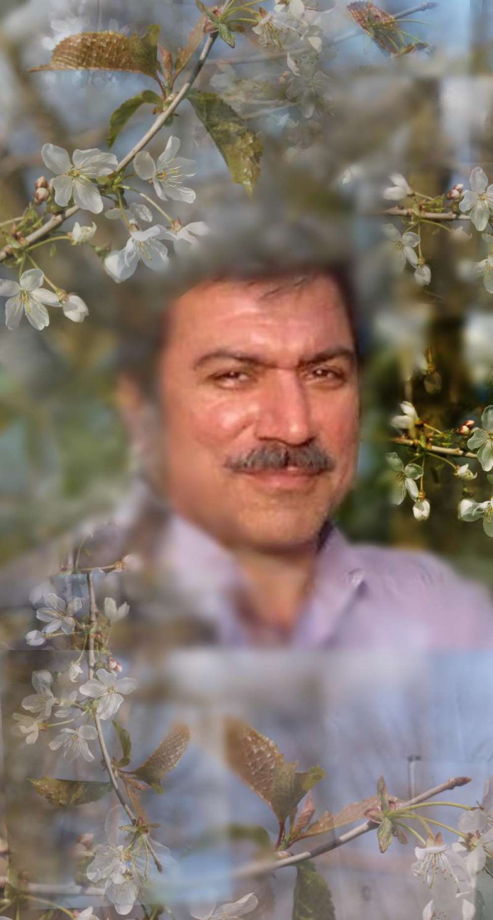 محمد هادی سلیمی