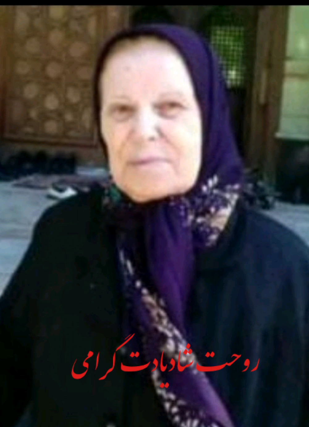 آرزو مشکوتی سالاری