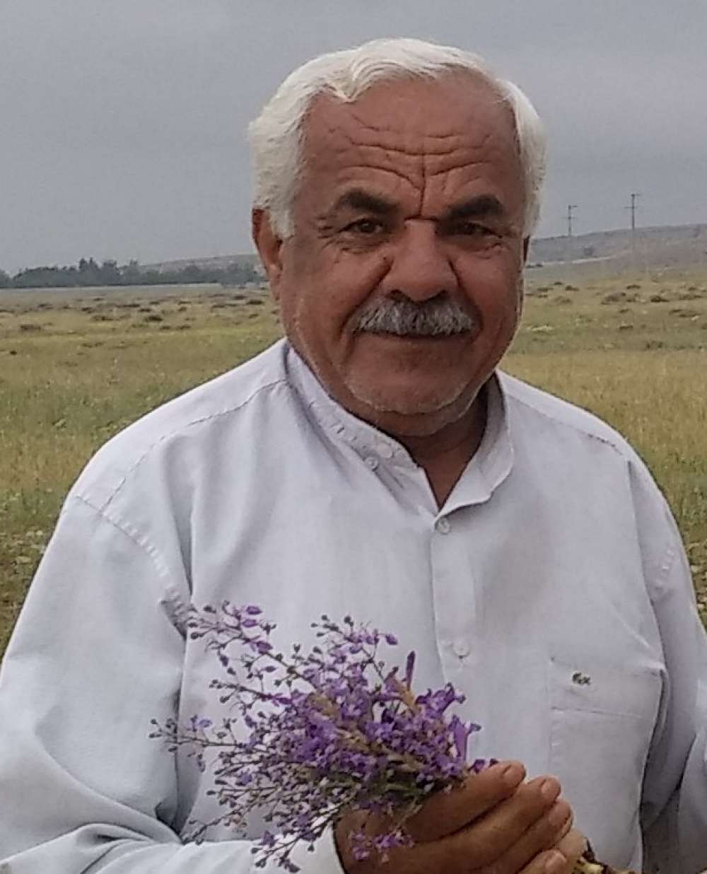  محمد طاهر طاهری