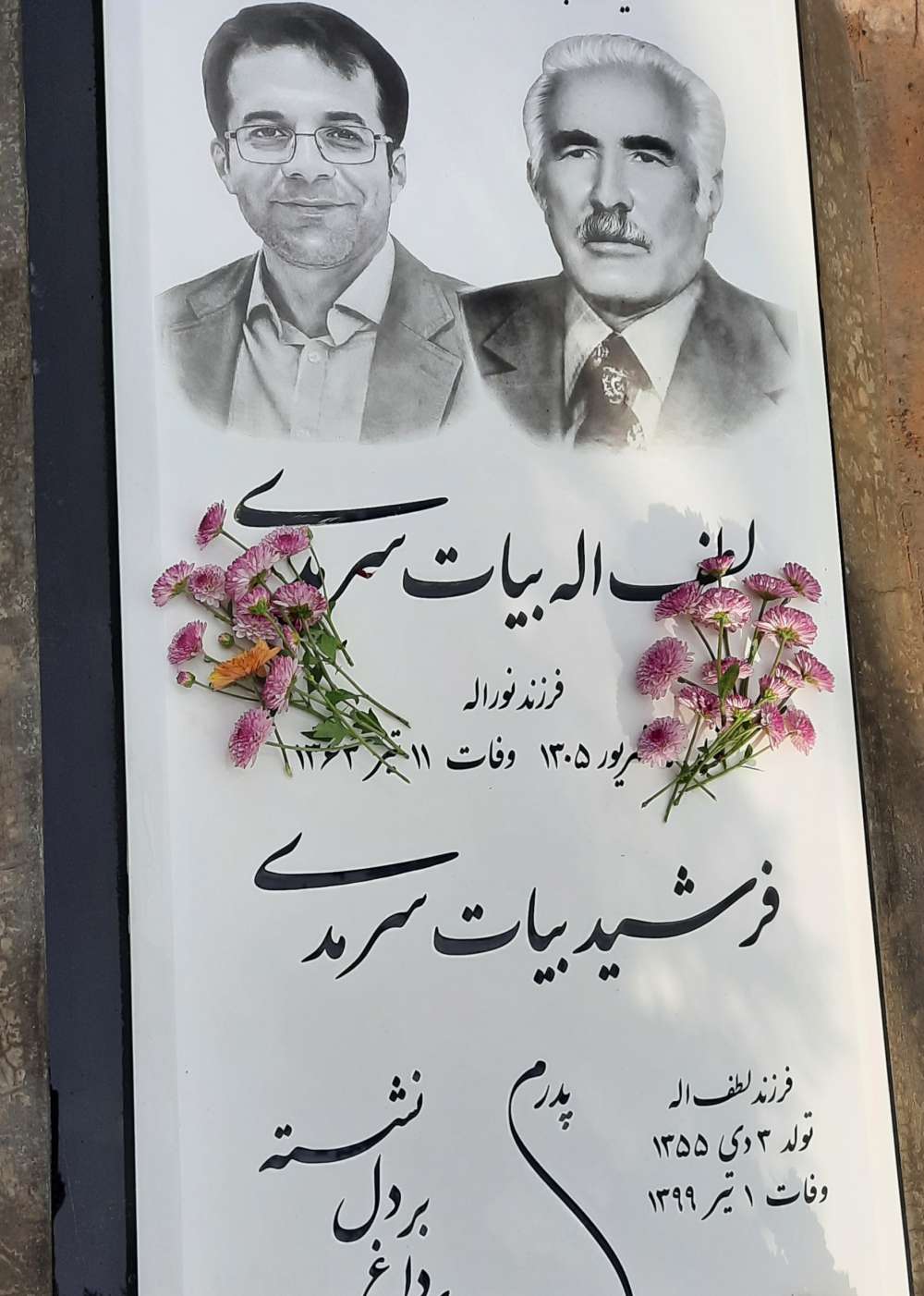 فرشید بیات سرمدی