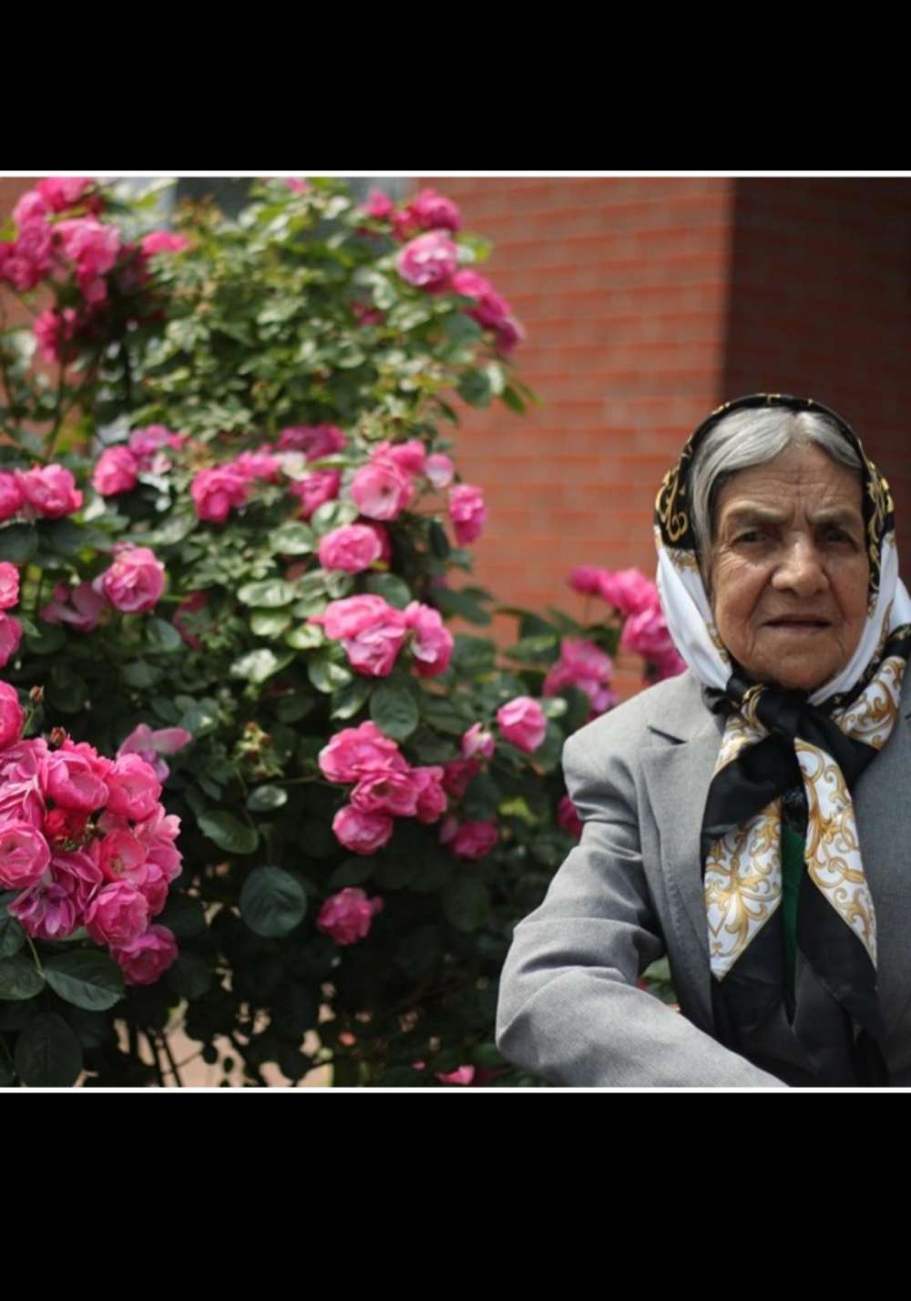 فاطمه رضوی