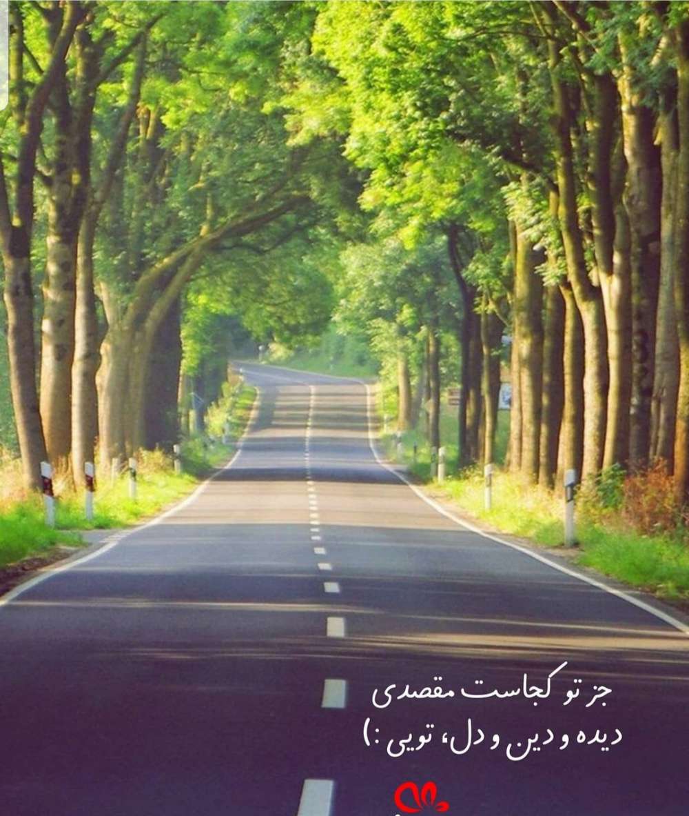 حدیقه اکبرزاده