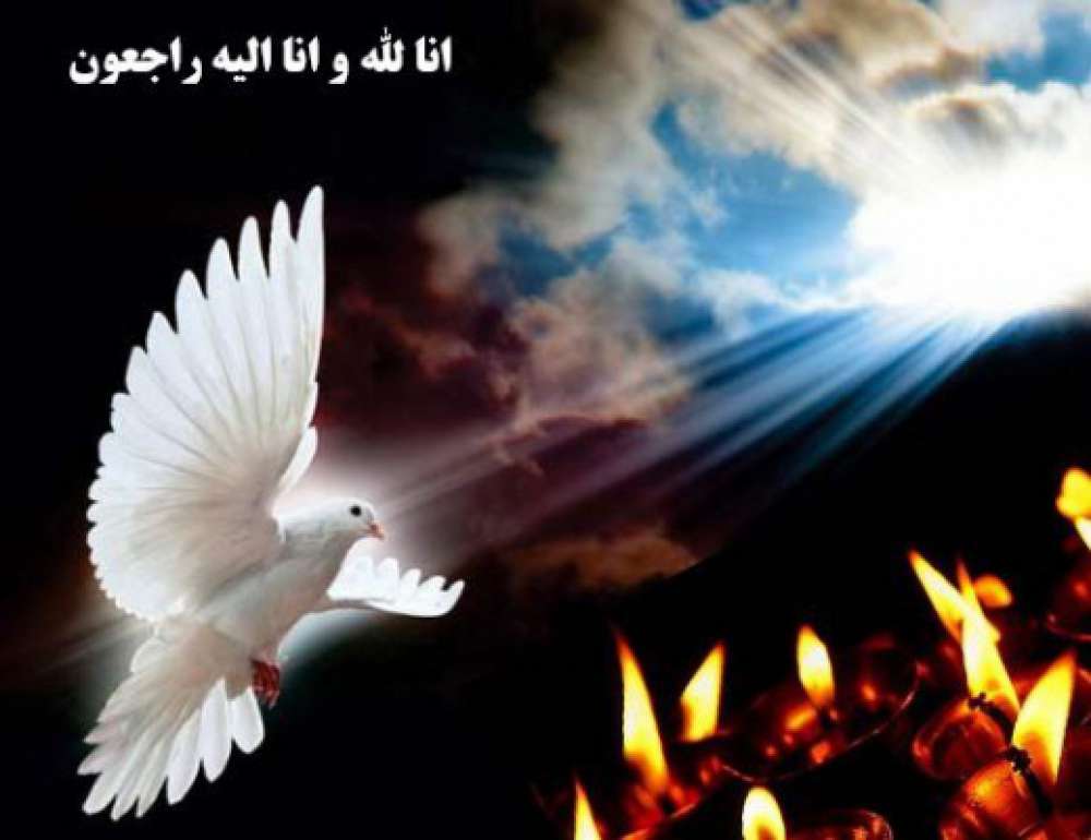 حمیده حیدری
