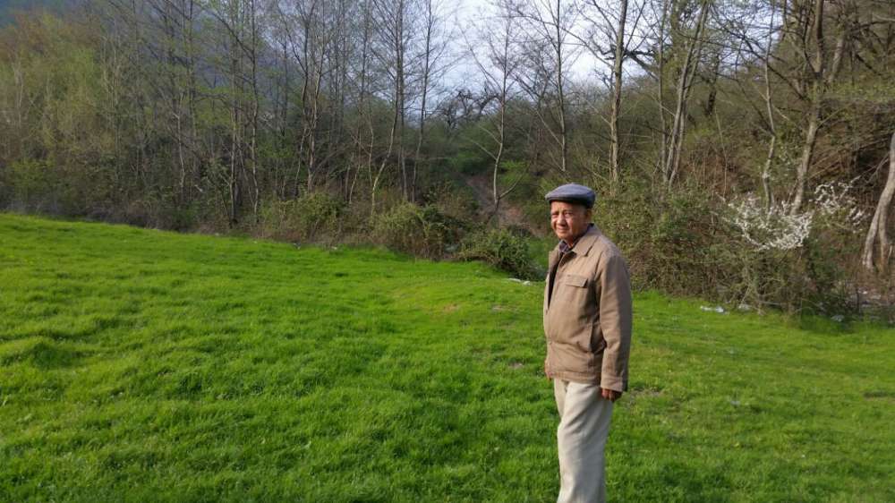 محمود رضایی