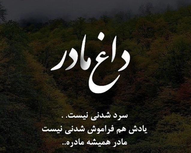 رقیه دارستانی فراهانی