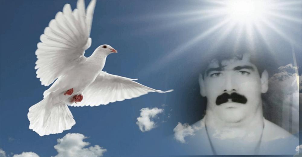 یادبود شادروان جوان ناکام علی فراهانی