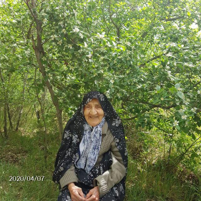 عذرا محمدی نویسی