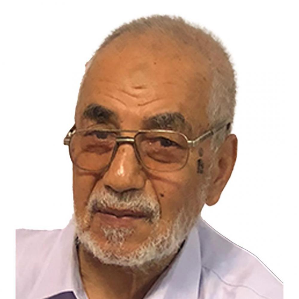 محمد حسین مددی