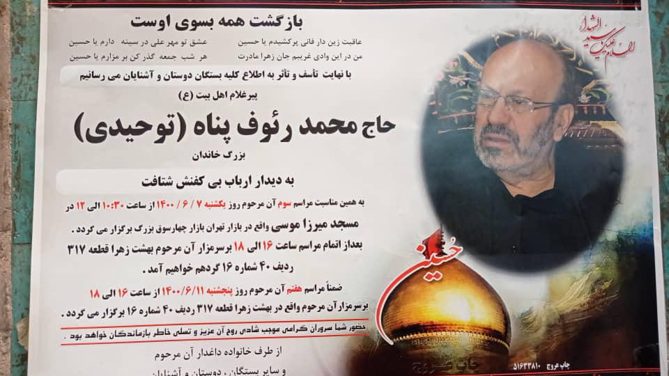 محمد رئوف پناه