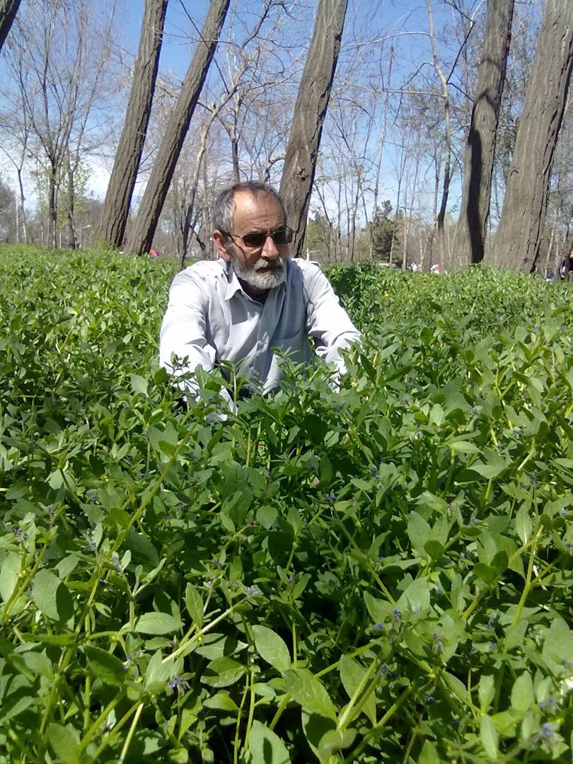 محمد علی پورمحمدی نجف آبادی