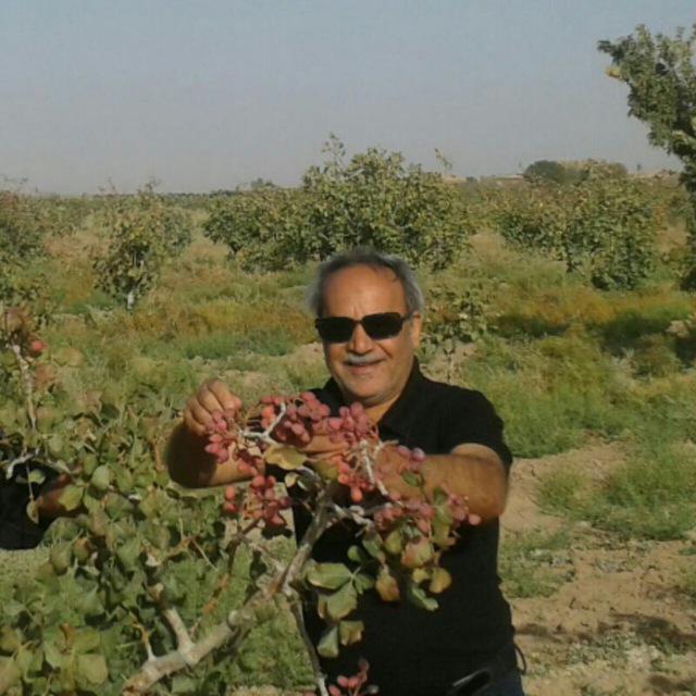 محمدرضا وفادار