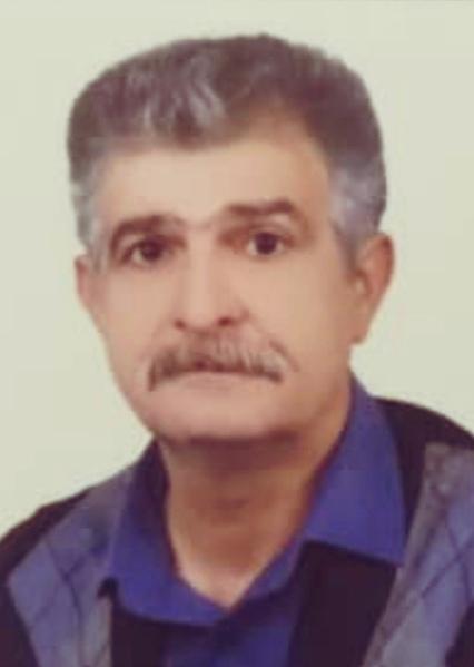 محمد رضا حمامی