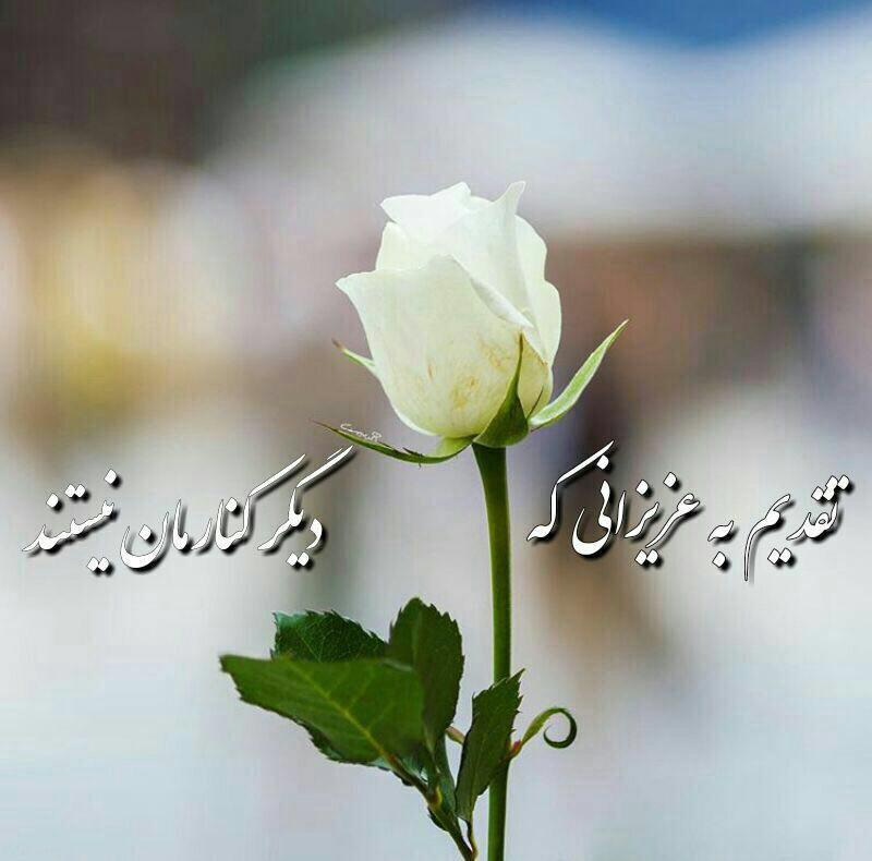 زهرا اربابی