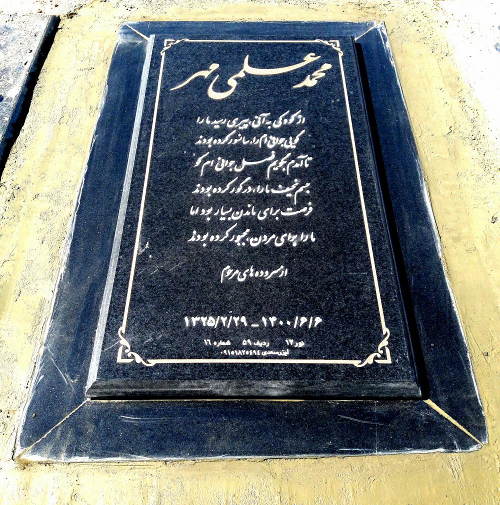 محمد علمی مهر