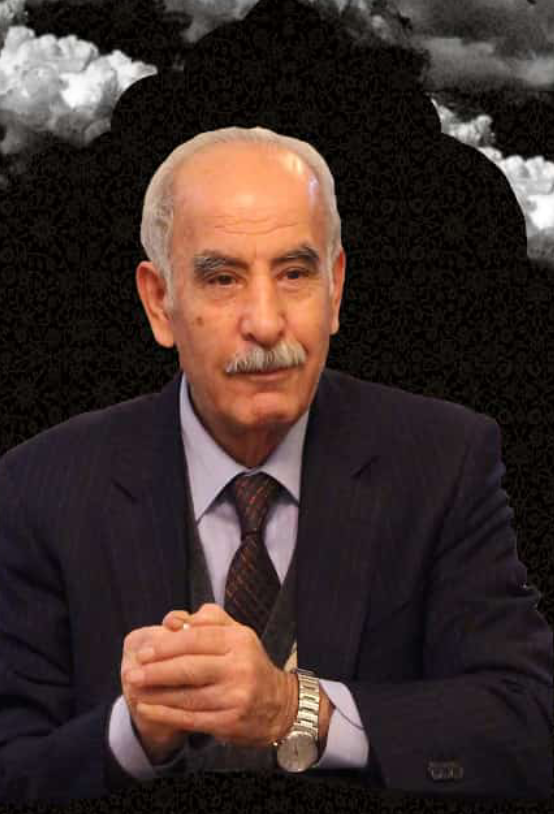 سید علی موافقی