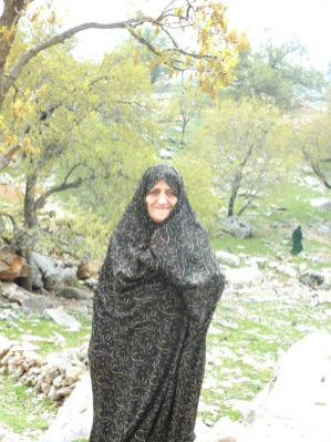 نرجس پیرمرادیان