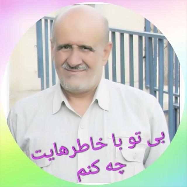 محمدرضا امامی