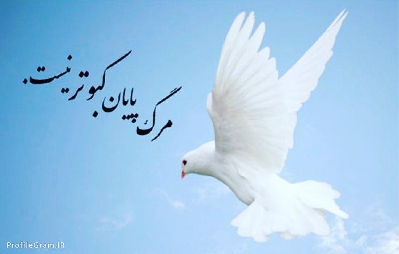 زهره قدوسی فیض آباد