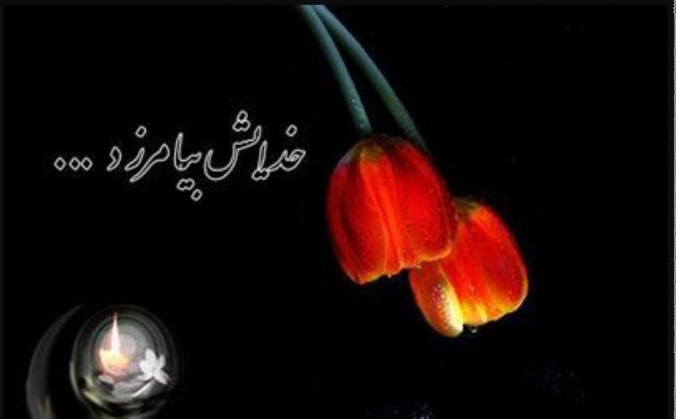 اشرف السادات علوی نسب