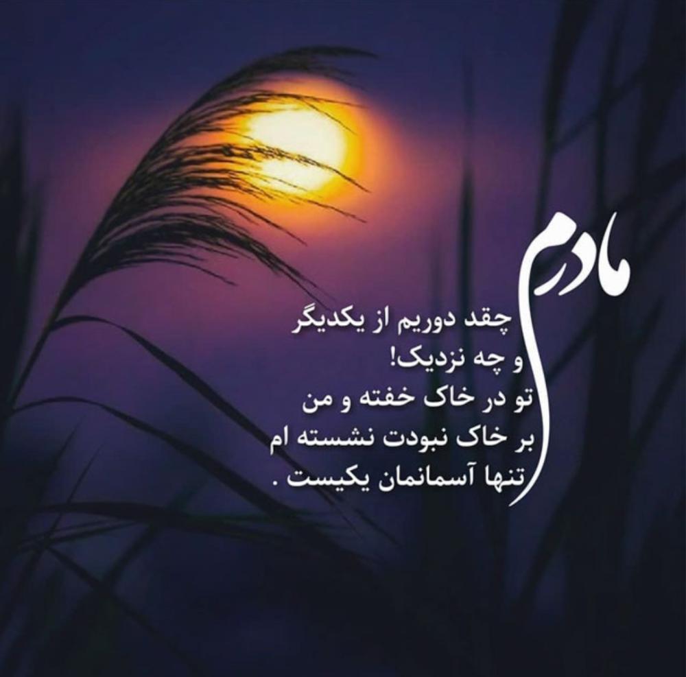 فرزانه ملکی زاد