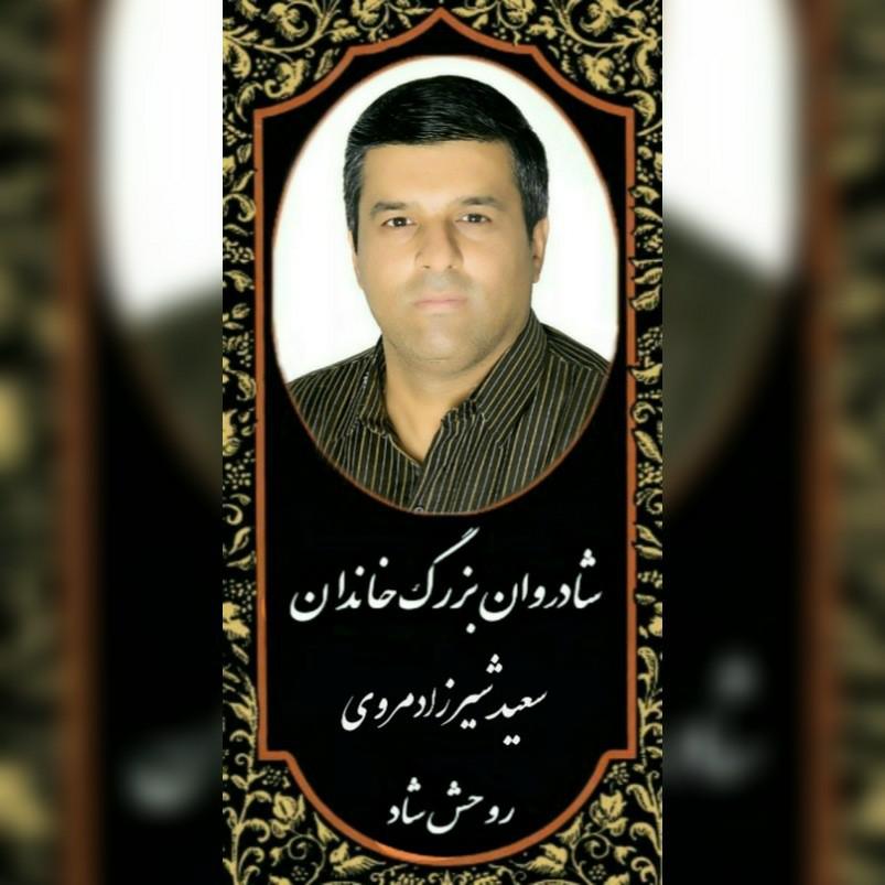 سعید شیرزاد مروی