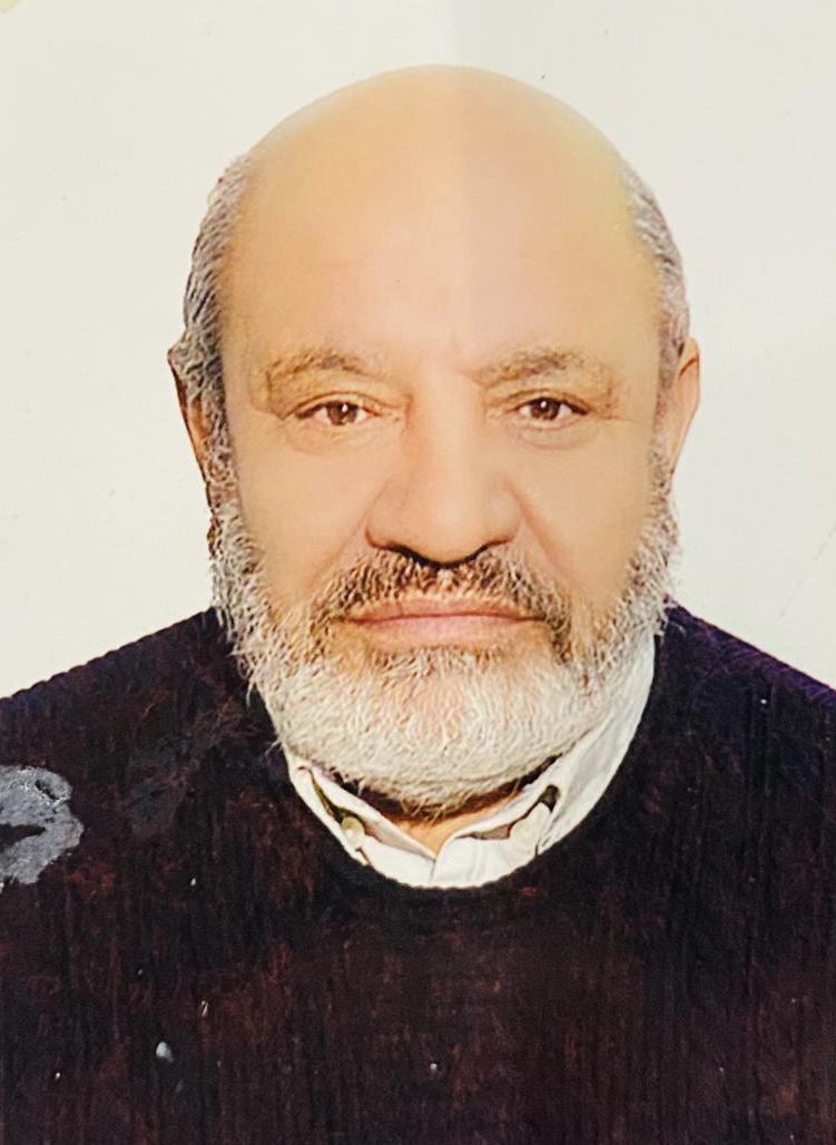 محمد گودرزی