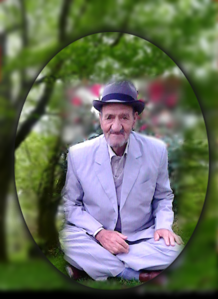 علی اشرف افشار ایرانی