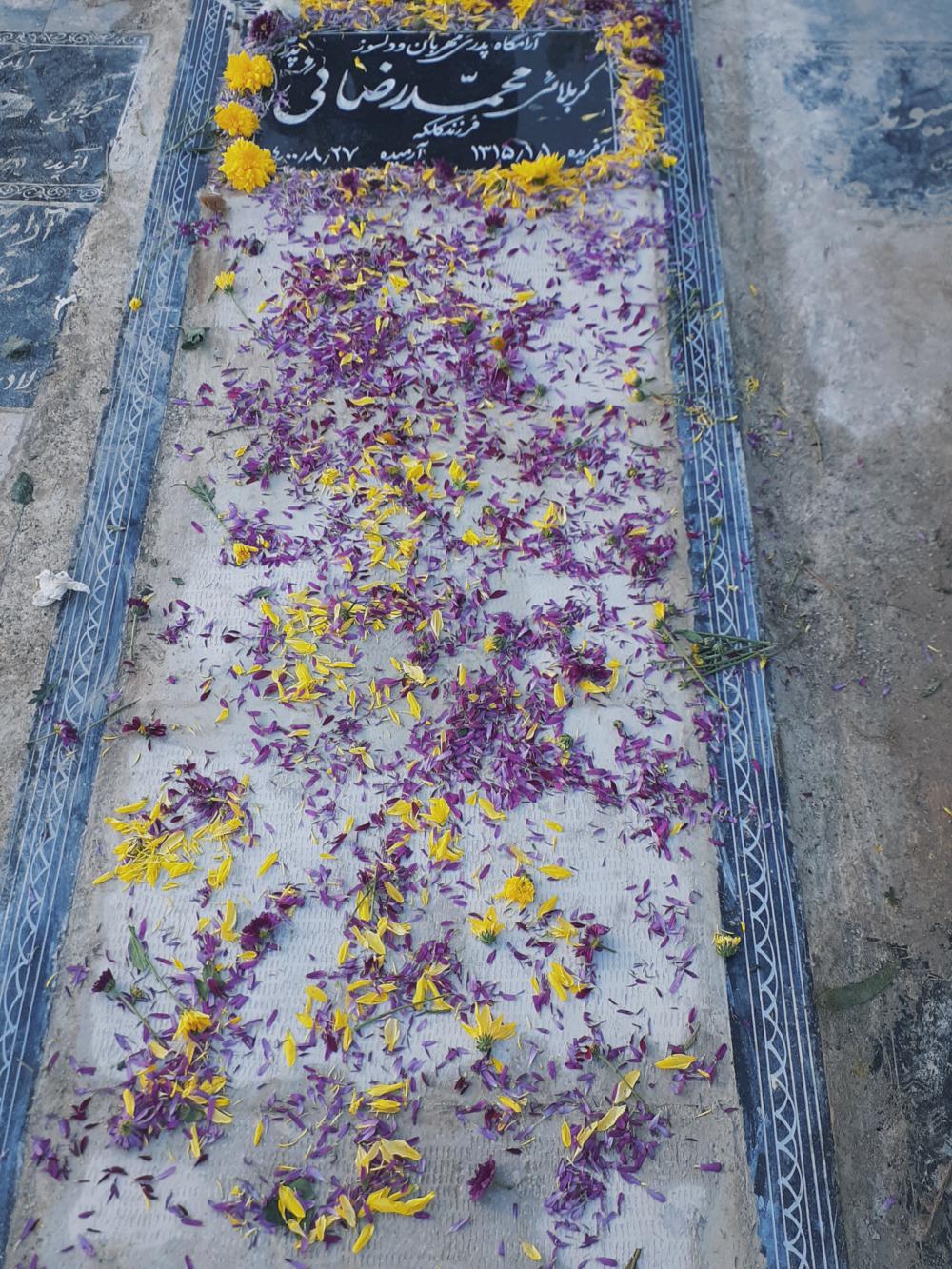 یادبود شادروان کربلایے محمد رضایی