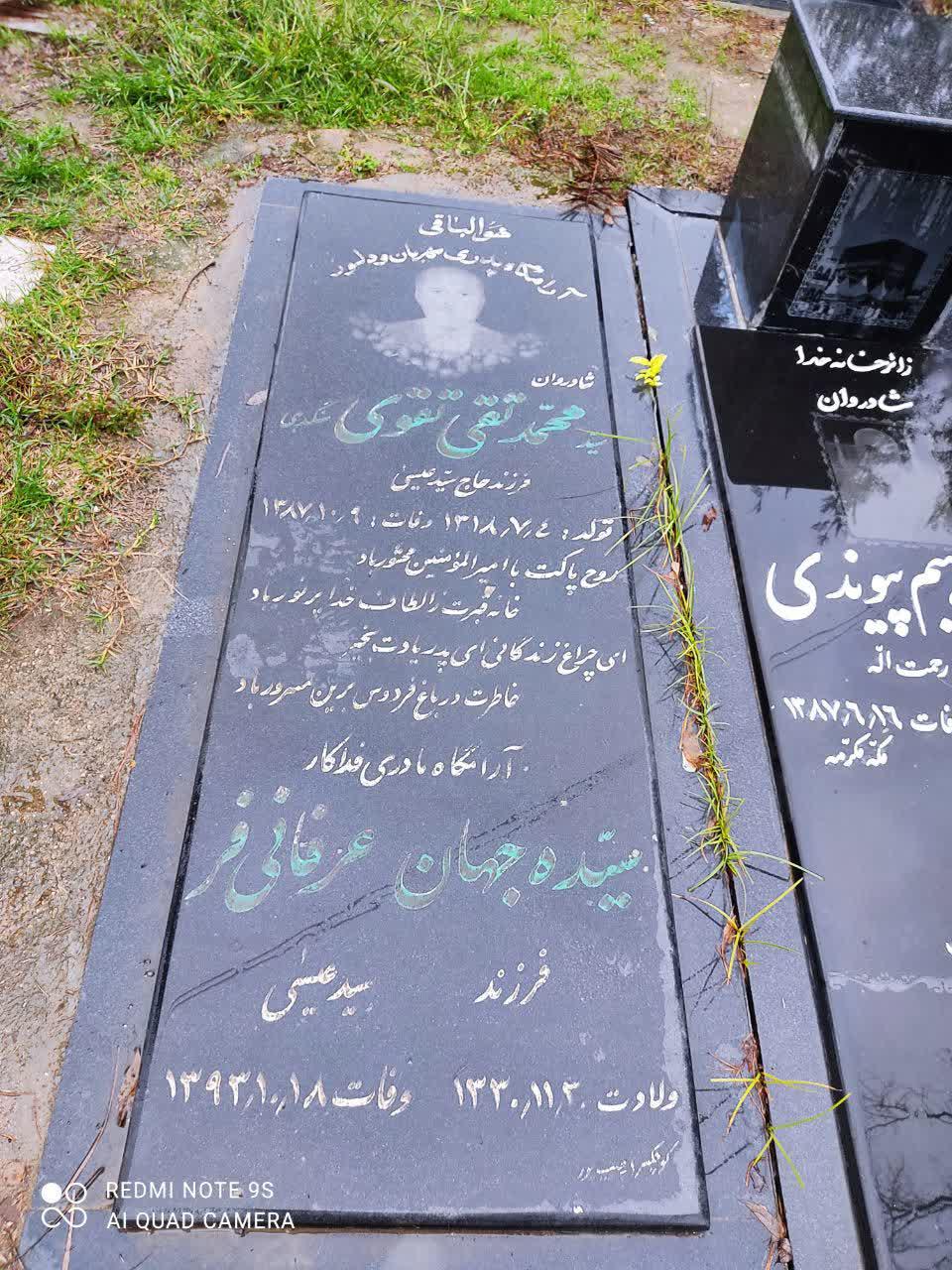 یادبود شادروان سید محمدتقی تقوی