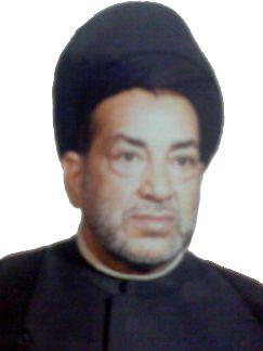 سید ابوالحسن رضوی