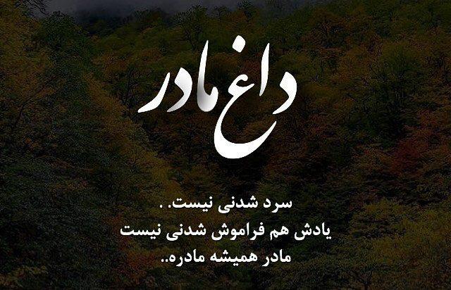 فردوس تیموری