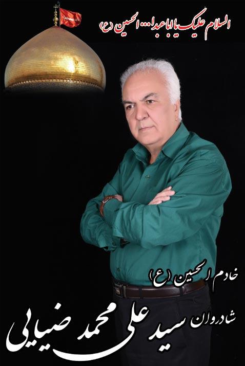 سیدعلیمحمد ضیایی نیری