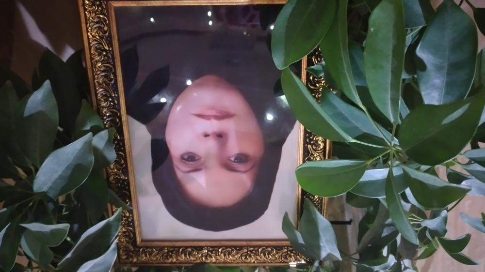 یادبود شادروان زیبا محمودی