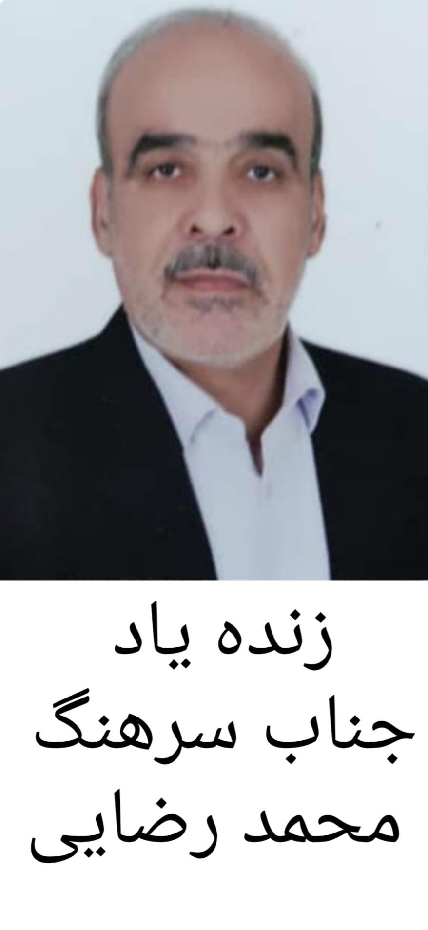 محمد رضایی