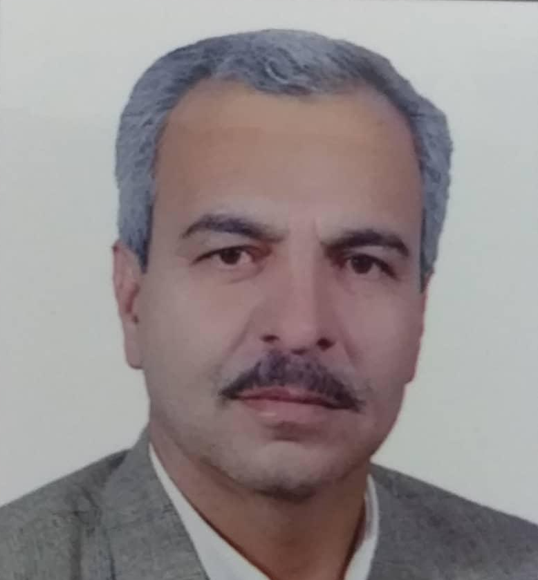 سید مجتبی حسینی